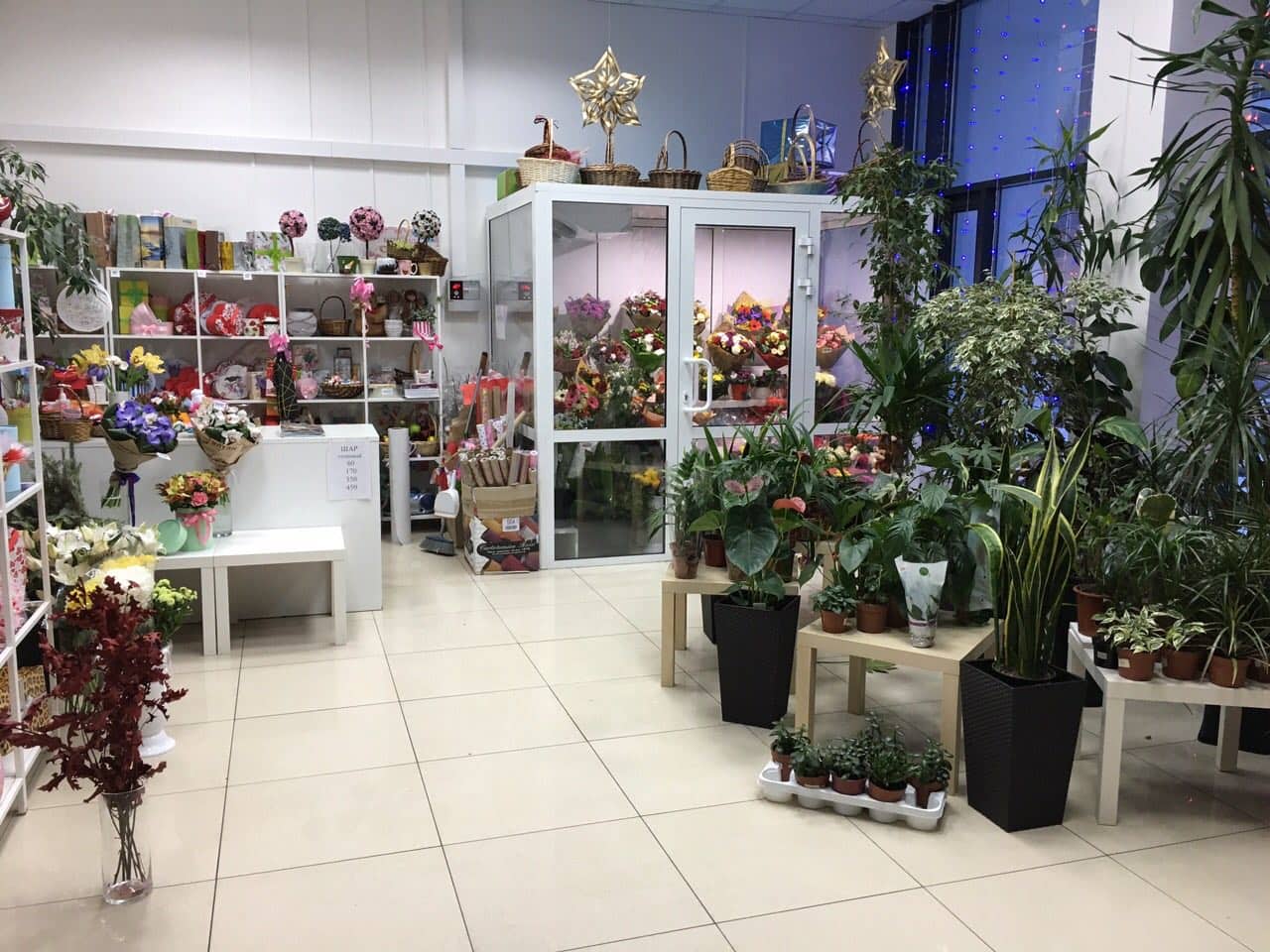 Где В Петрозаводске Можно Купить Цветы